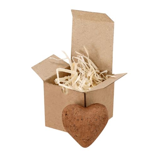 Herzförmige Samenbombe - Bild 3